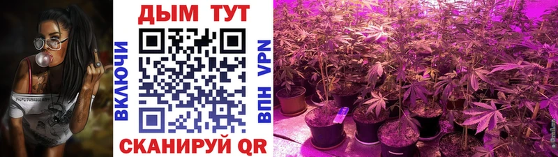 Конопля VHQ  мориарти телеграм  Серафимович 